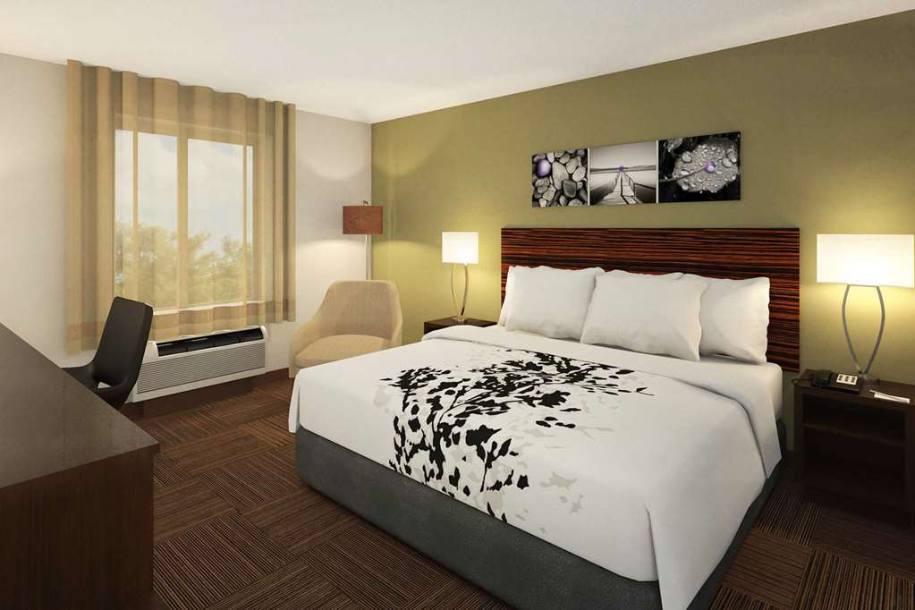 Sleep Inn & Suites Tampa South Room photo